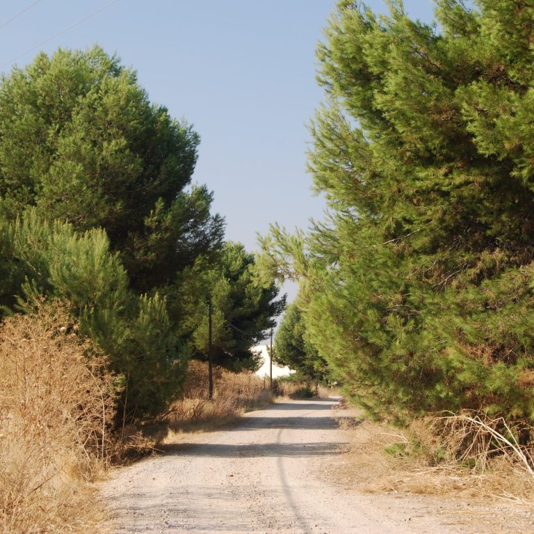 Cañada Real Galiana Cañada Real Galiana