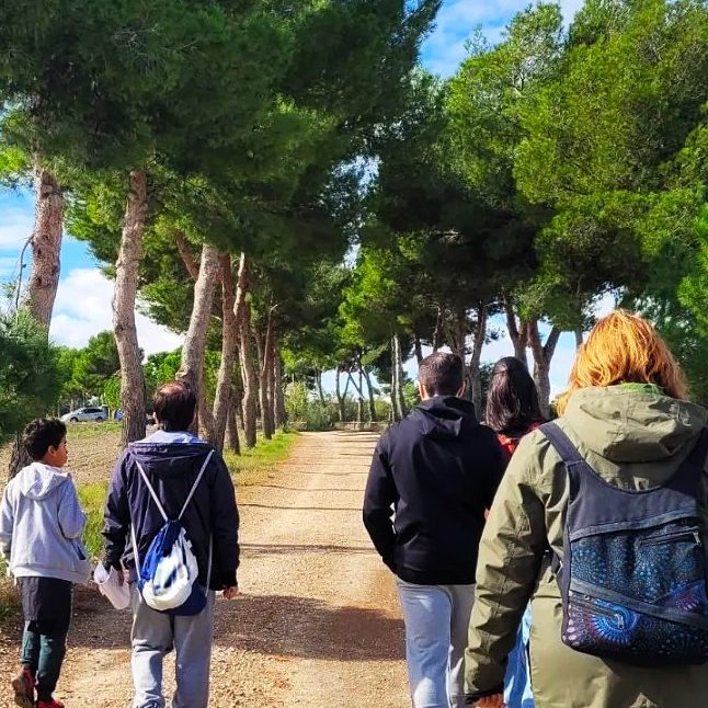 Iglesia de Santo Domingo de Silos Iglesia de Santo Domingo de Silos