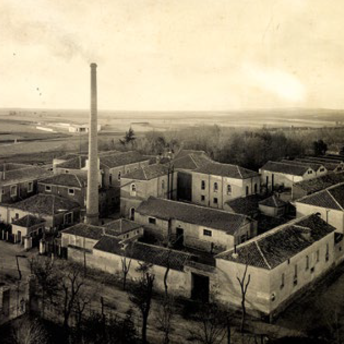 Fábrica de chocolate La Colonial de Pinto Fábrica de chocolate La Colonial de Pinto